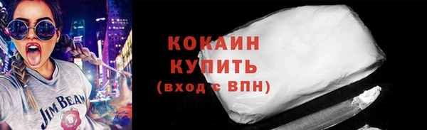 стаф Алзамай