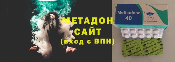 стаф Алзамай